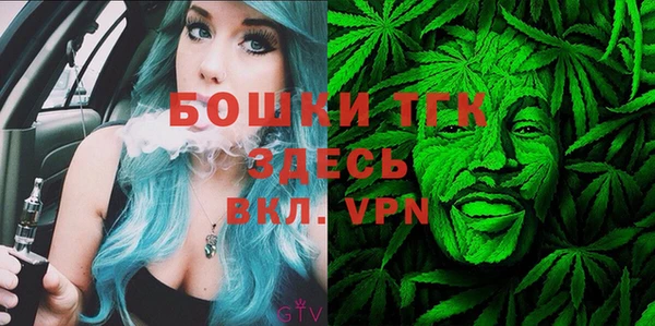 молекула духа Иннополис