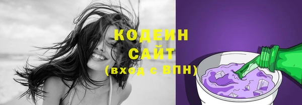 2c-b Инта