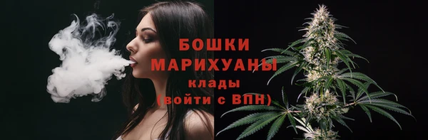 прущий лед Инсар