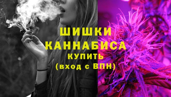 молекула духа Иннополис