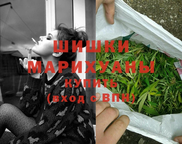 прущий лед Инсар