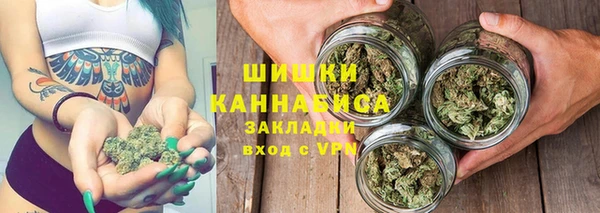 прущий лед Инсар