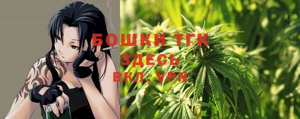 молекула духа Иннополис