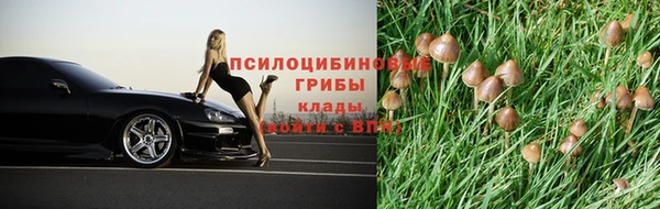 молекула духа Иннополис