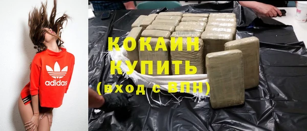ГАЛЛЮЦИНОГЕННЫЕ ГРИБЫ Каменка
