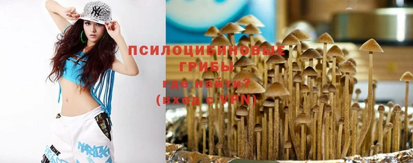 молекула духа Иннополис