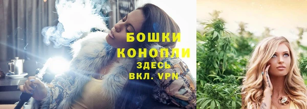 2c-b Инта