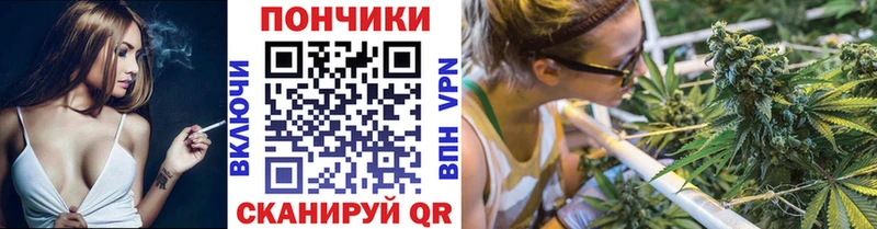Бошки Шишки VHQ  Купить закладки  Северо-Курильск 